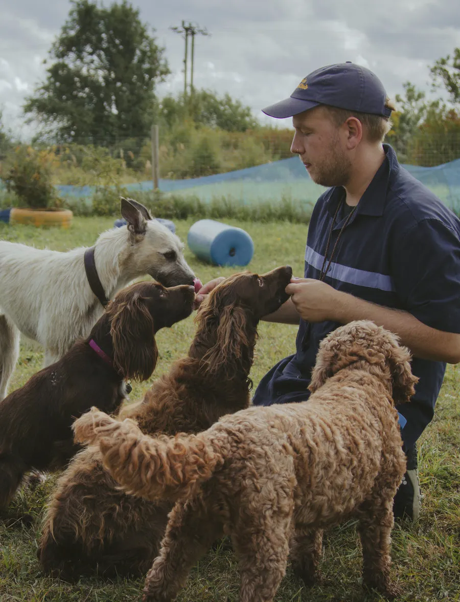 Cam working through a reward-based training exercise with a dog
